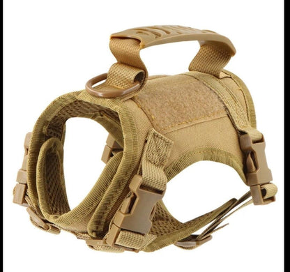 Tactical Cat Harness & Lead