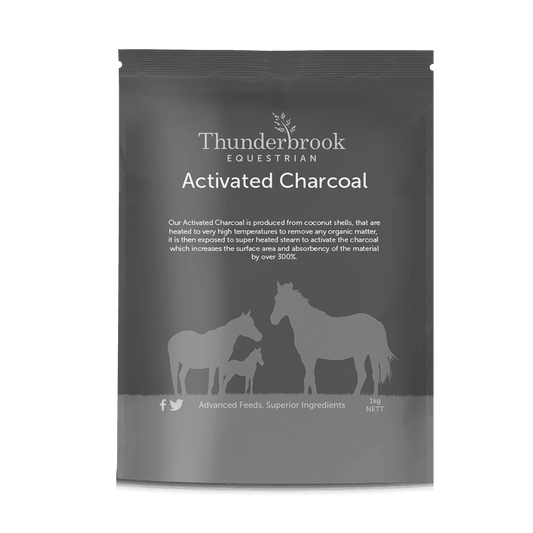 Thunderbrook Activated Charcoal - North East Pet Shop Thunderbrook