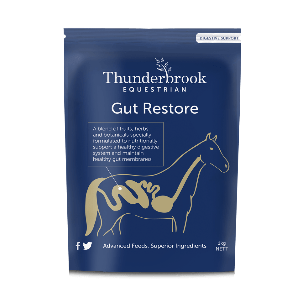 Thunderbrook Equestrian Gut Restore 1kg - North East Pet Shop Thunderbrook