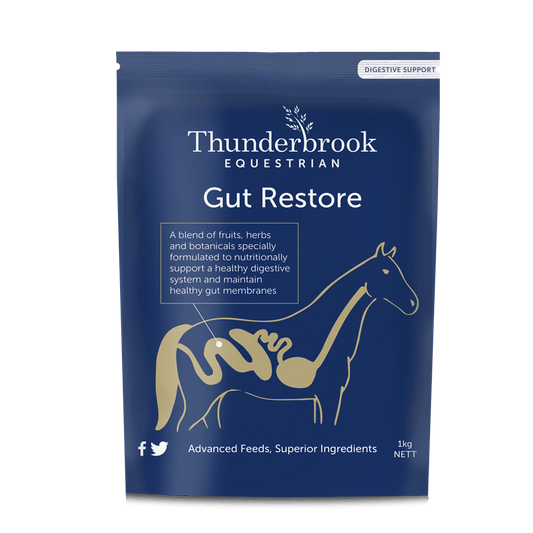 Thunderbrook Equestrian Gut Restore 1kg - North East Pet Shop Thunderbrook