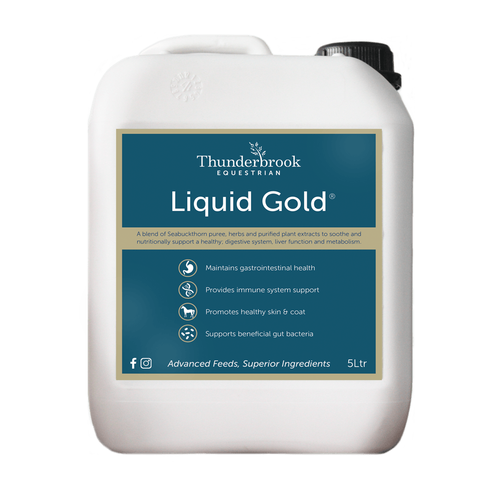 Thunderbrook Equestrian Liquid Gold 2L - North East Pet Shop Thunderbrook