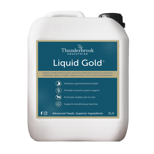 Thunderbrook Equestrian Liquid Gold 2L - North East Pet Shop Thunderbrook