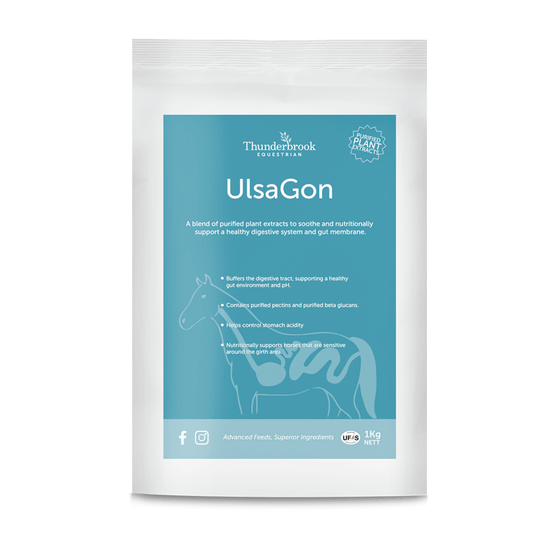 Thunderbrook Equestrian Ulsagon 1kg - North East Pet Shop Thunderbrook