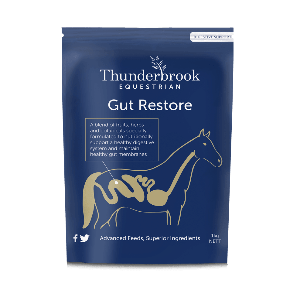 Thunderbrook Gut Restore - North East Pet Shop Thunderbrook
