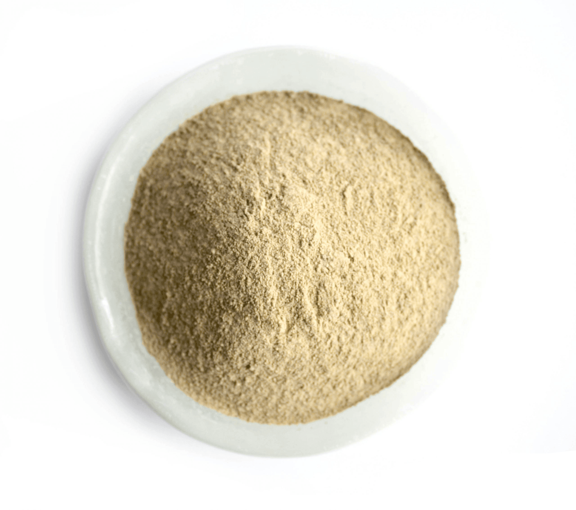 Thunderbrook Mycosorb A+ - North East Pet Shop Thunderbrook