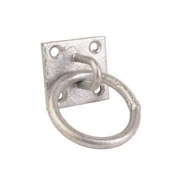 Tie Ring On Plate Galvanised - North East Pet Shop Perry Equestrian