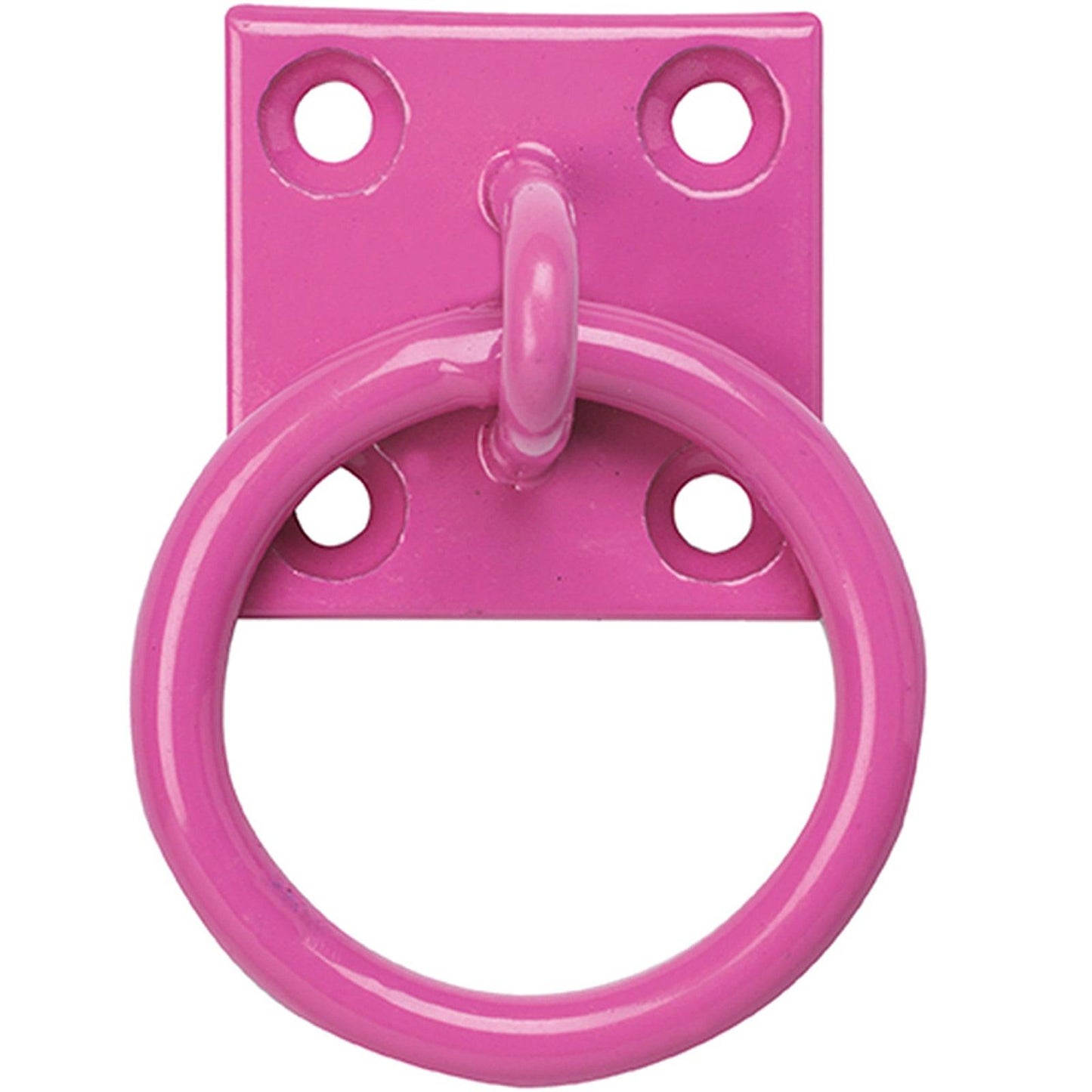 Tie Ring On Plate Pink x10 - North East Pet Shop Perry Equestrian