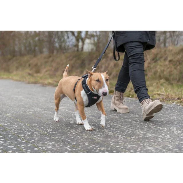 Trixie Premium FlexMesh Harness - North East Pet Shop Trixie