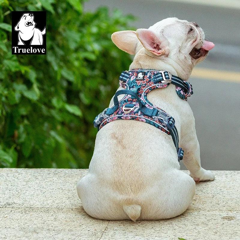 Truelove Pet Harness Small Medium Large Split Dog Fashion Outdoor Dropshipping - North East Pet Shop Truelove