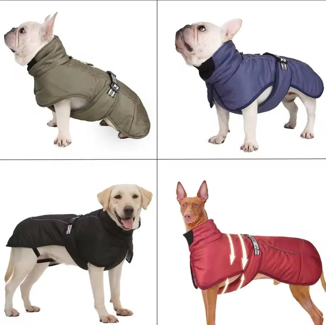 Urban Dog Winter Coat - North East Pet Shop North East Pet Shop