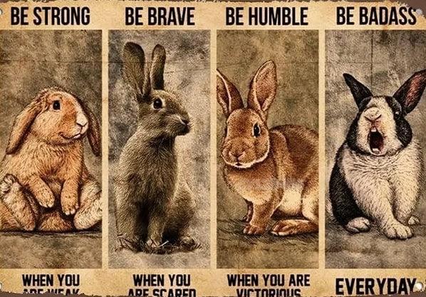 Various Rabbit Tin Sign - North East Pet Shop Dog Shack UK