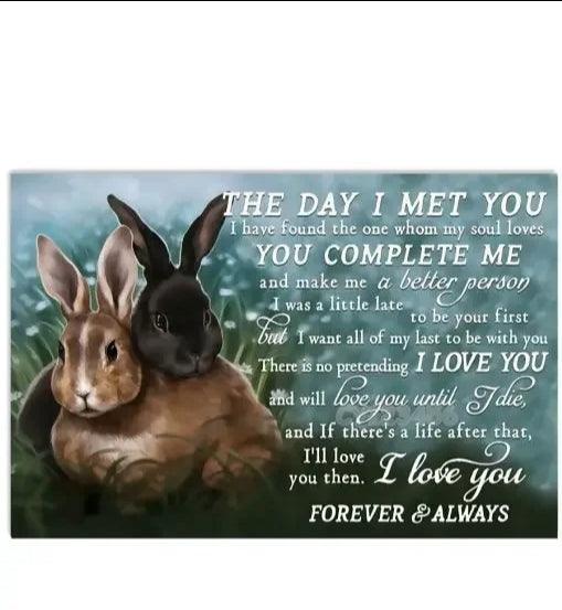 Various Rabbit Tin Sign - North East Pet Shop North East Pet Shop