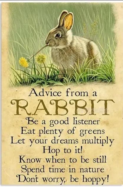 Various Rabbit Tin Sign - North East Pet Shop Dog Shack UK