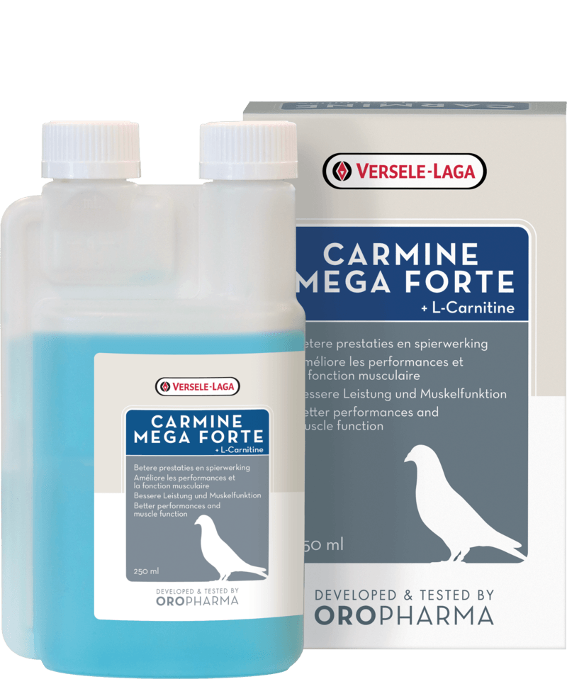 Versele Laga Carmine Mega Forte - North East Pet Shop Versele Laga