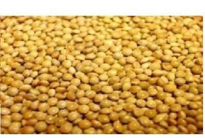 Versele Laga French Yellow Millet - North East Pet Shop Versele Laga