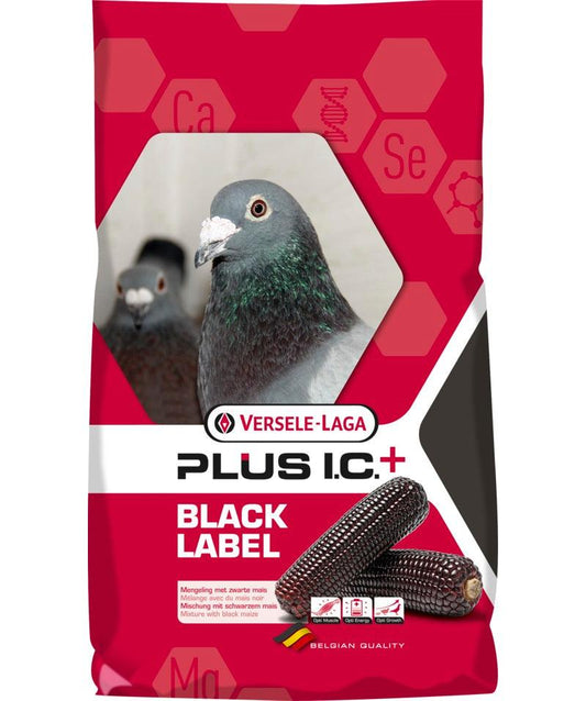 Versele Laga Junior Plus I.C. Black Label - North East Pet Shop Versele Laga