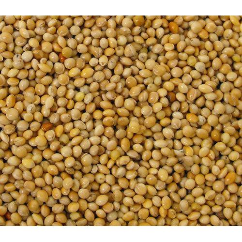 Versele Laga Milletseed Yellow - North East Pet Shop Versele Laga