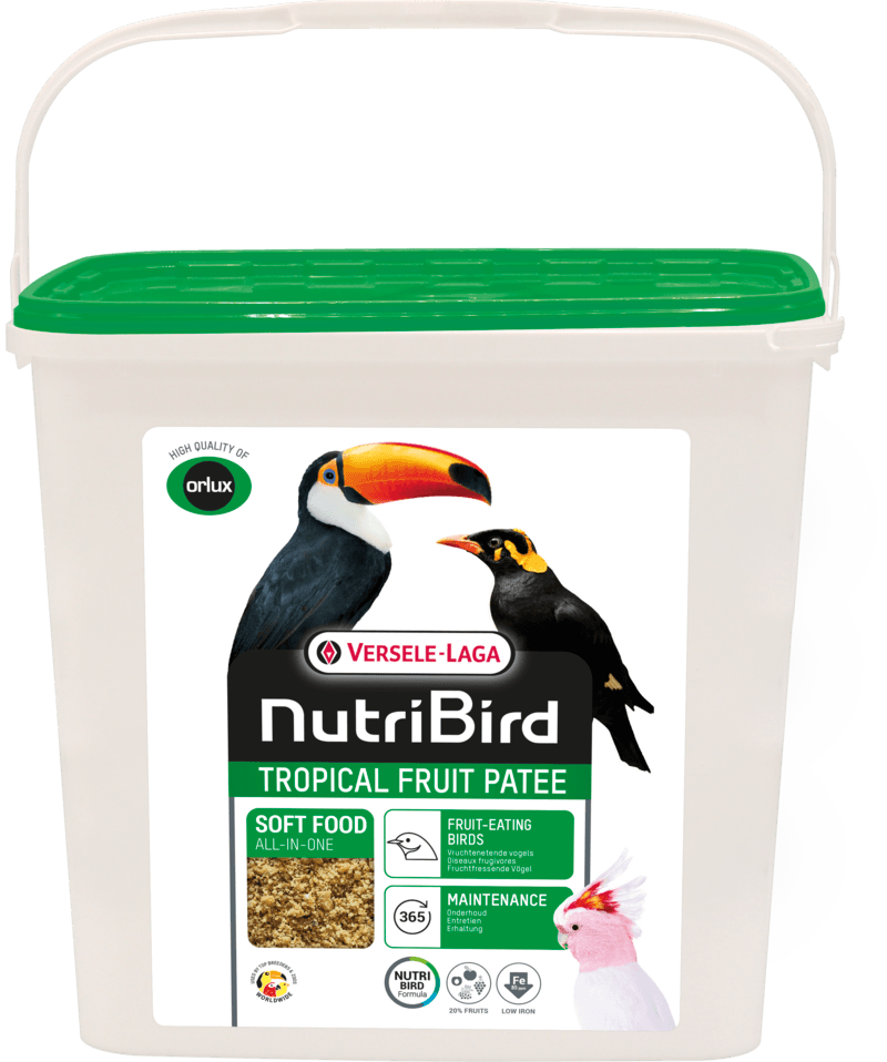 Versele Laga NutriBird Tropical Fruit Pattee - North East Pet Shop Versele Laga