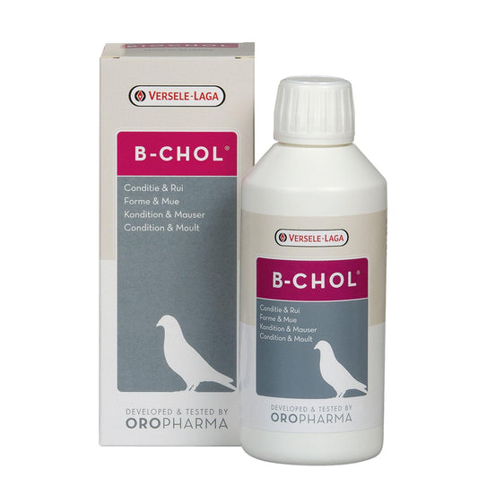 Versele Laga Oropharma B-Chol 500ml - North East Pet Shop Versele Laga