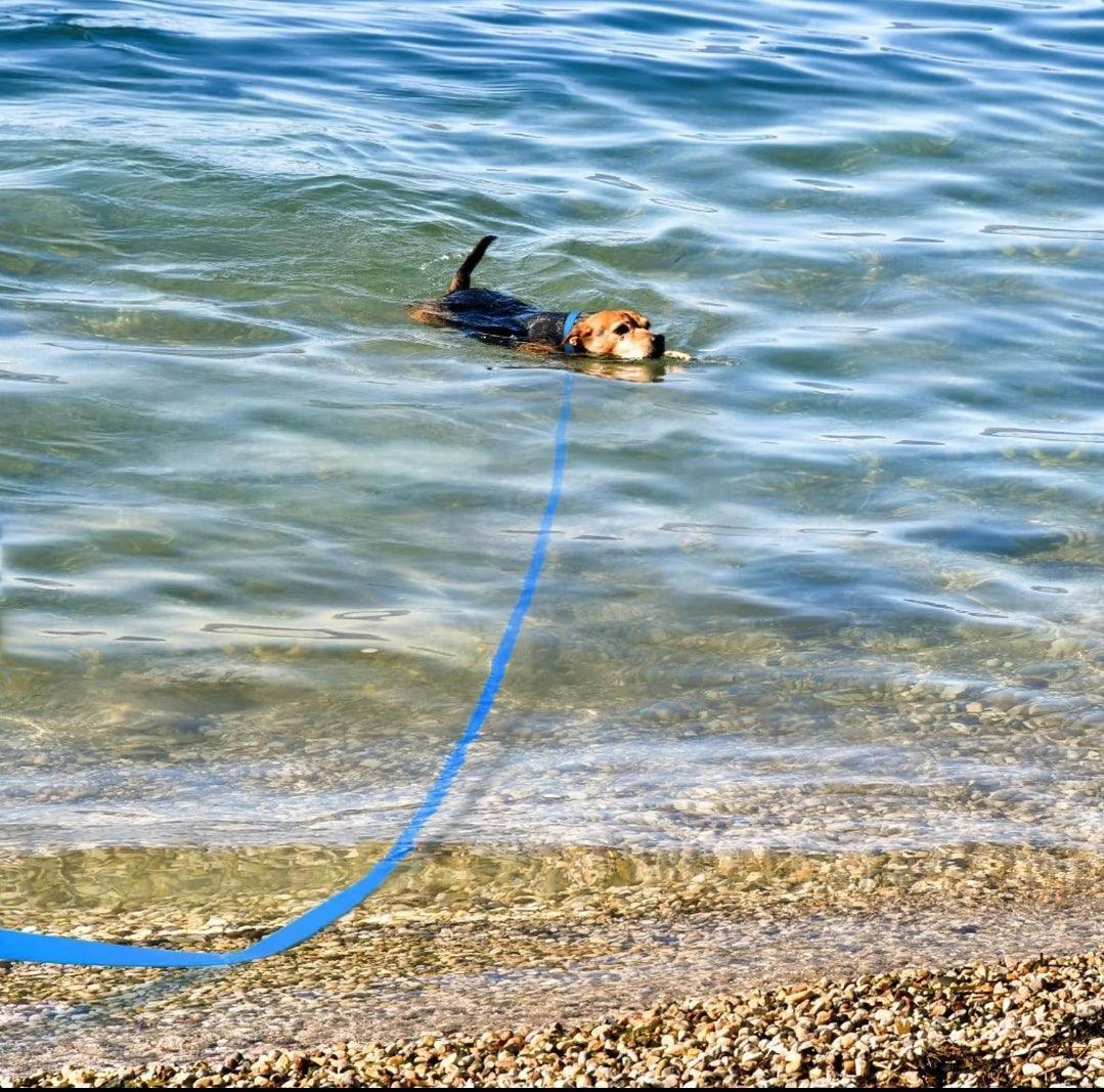 Waterproof Extra Long Lead - North East Pet Shop Dog Shack UK