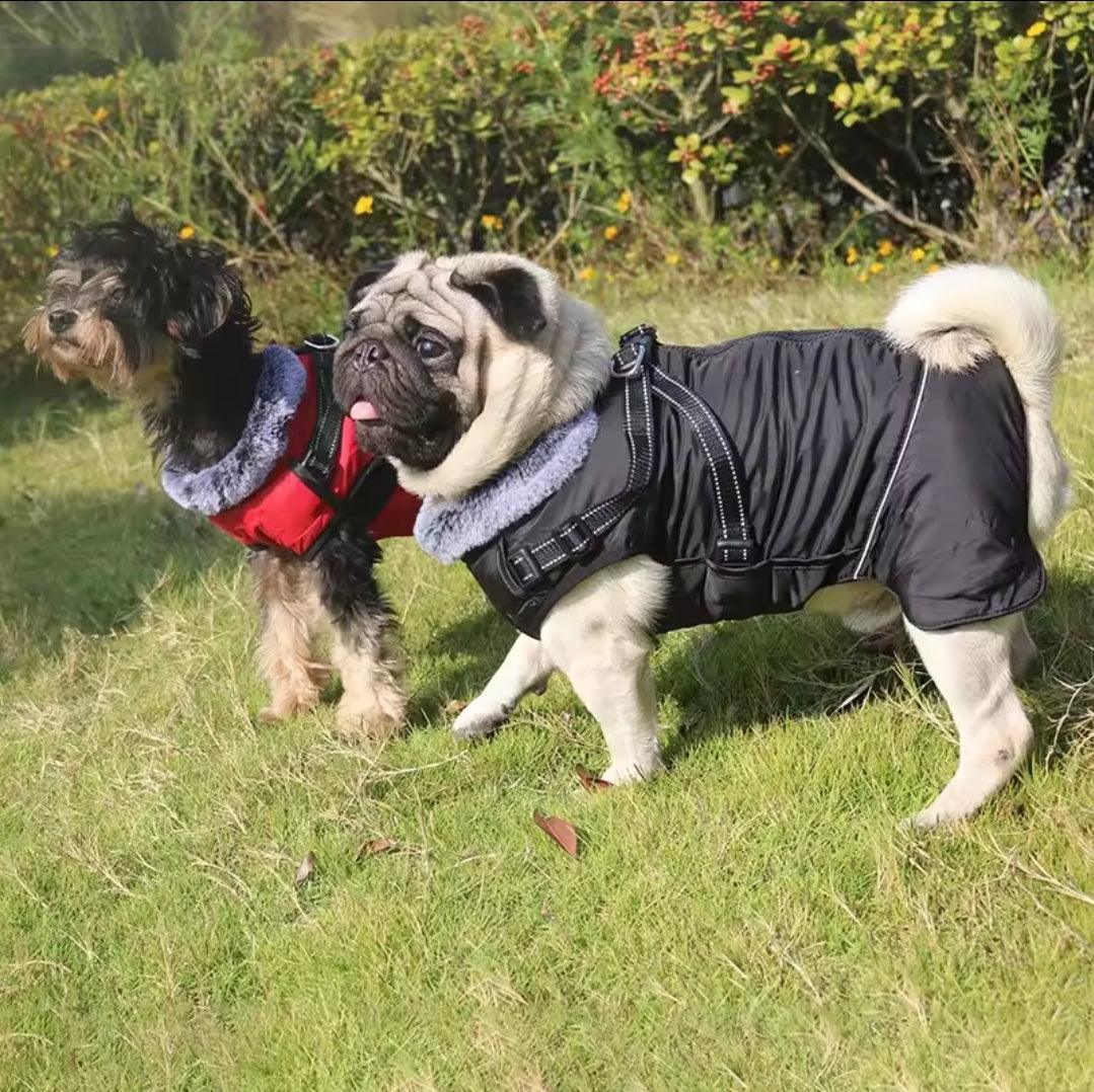 Waterproof Harness Coat - North East Pet Shop North East Pet Shop