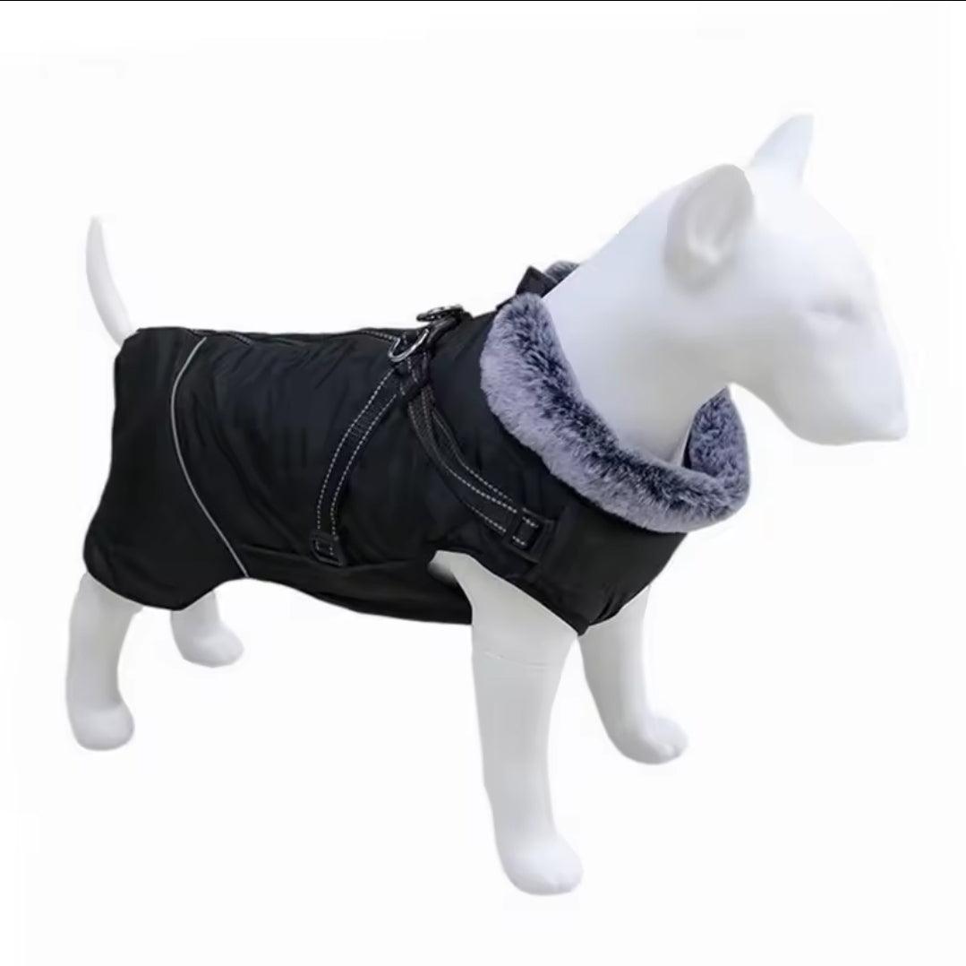 Waterproof Harness Coat - North East Pet Shop North East Pet Shop