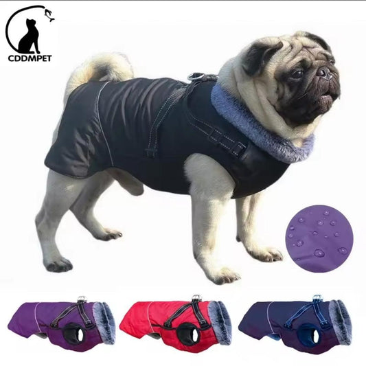 Waterproof Harness Coat - North East Pet Shop North East Pet Shop