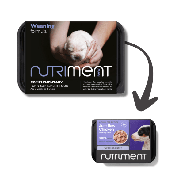 Weaning Paste - 3 weeks to 6 weeks - 500g tub - North East Pet Shop Nutriment