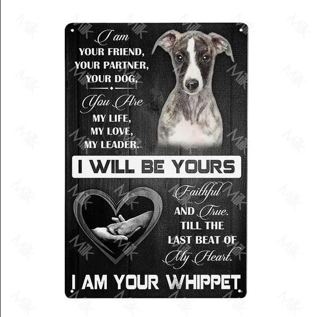 Whippet Dog Tin Sign - North East Pet Shop Dog Shack UK