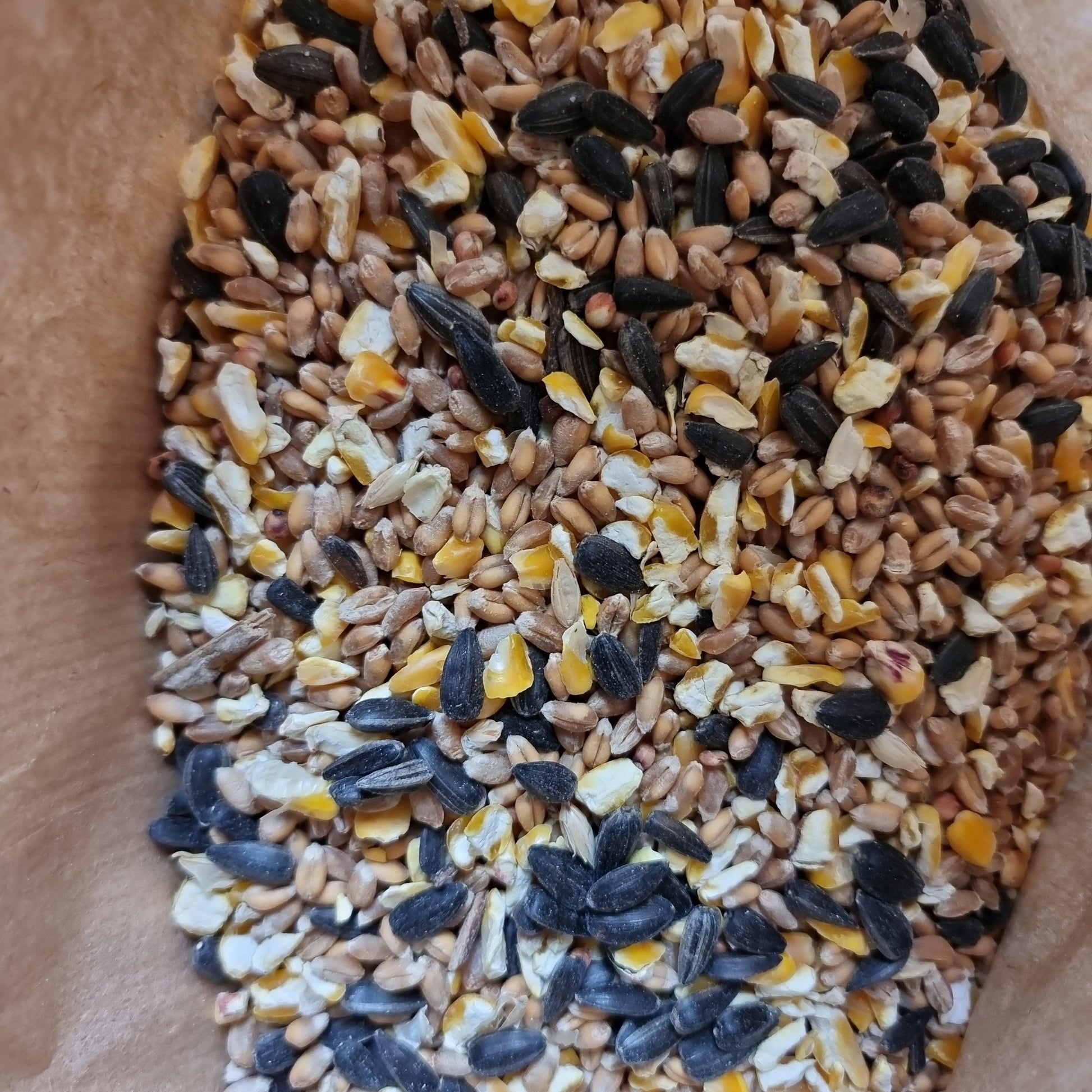 Wild Bird Food Mix - 2kg - North East Pet Shop North East Pet Shop