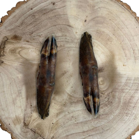 Wild Boar Trotter - North East Pet Shop Paddock Farm