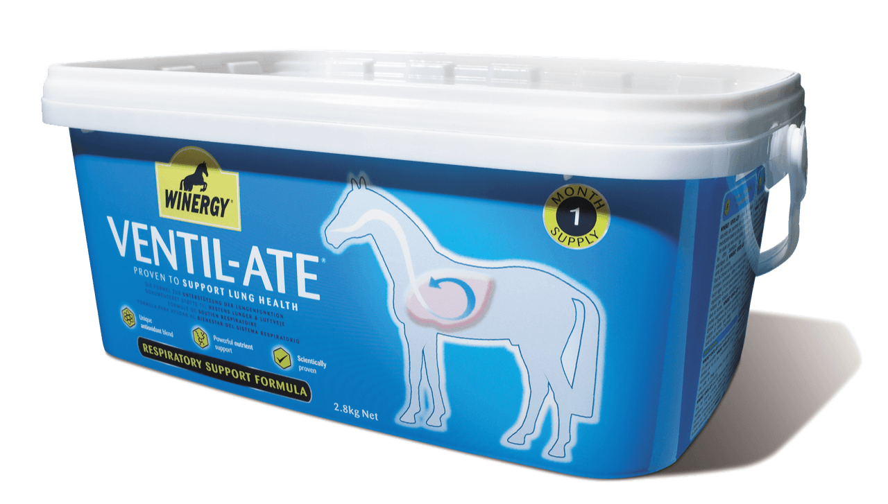 Winergy Ventil-ate Tub - North East Pet Shop Winergy