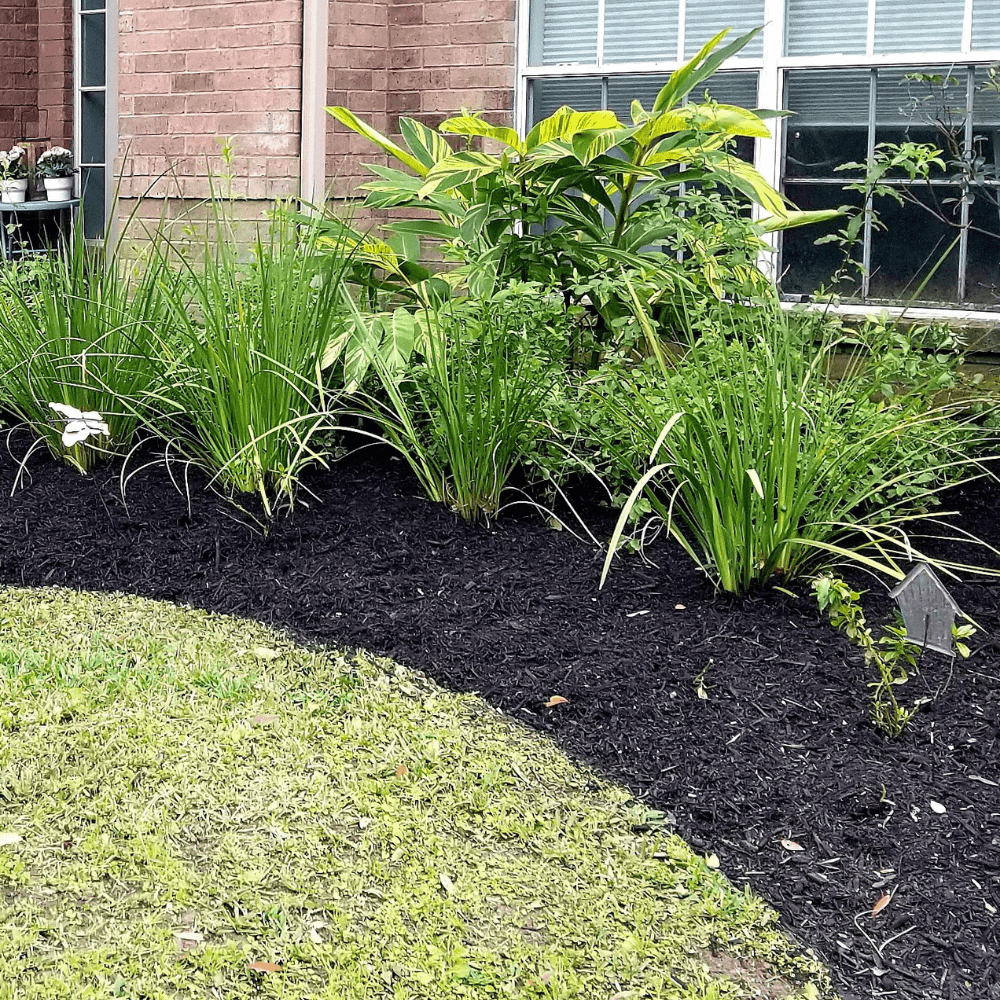 Wintermix Compost Garden Mulch