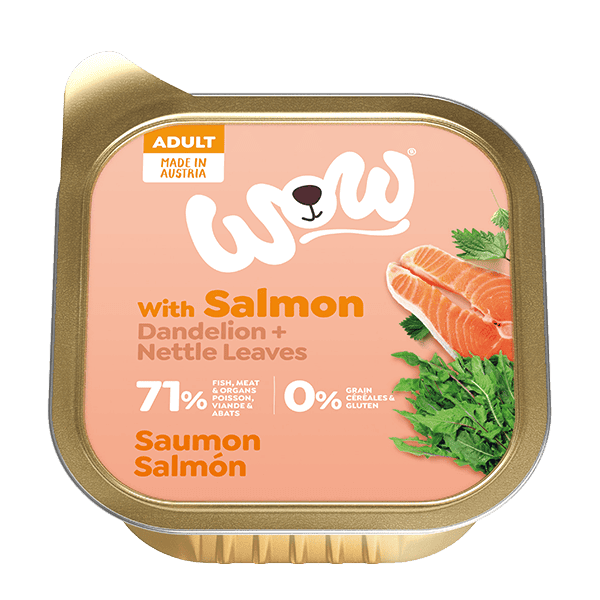 WOW Adult Dog with Salmon, Dandelion and Nettle Leaves - North East Pet Shop WoW