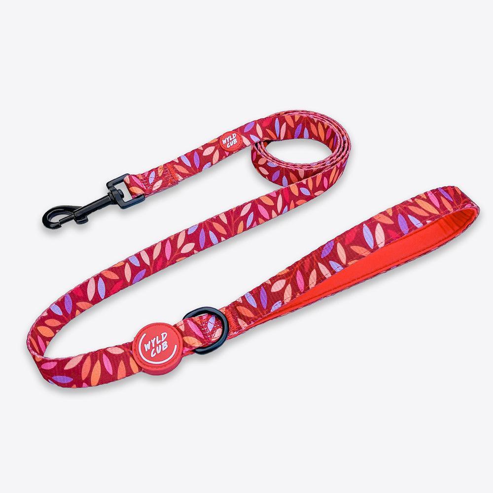 Wyld Cub - Dog Lead: Hampstead Fireside - North East Pet Shop Wyld Cub