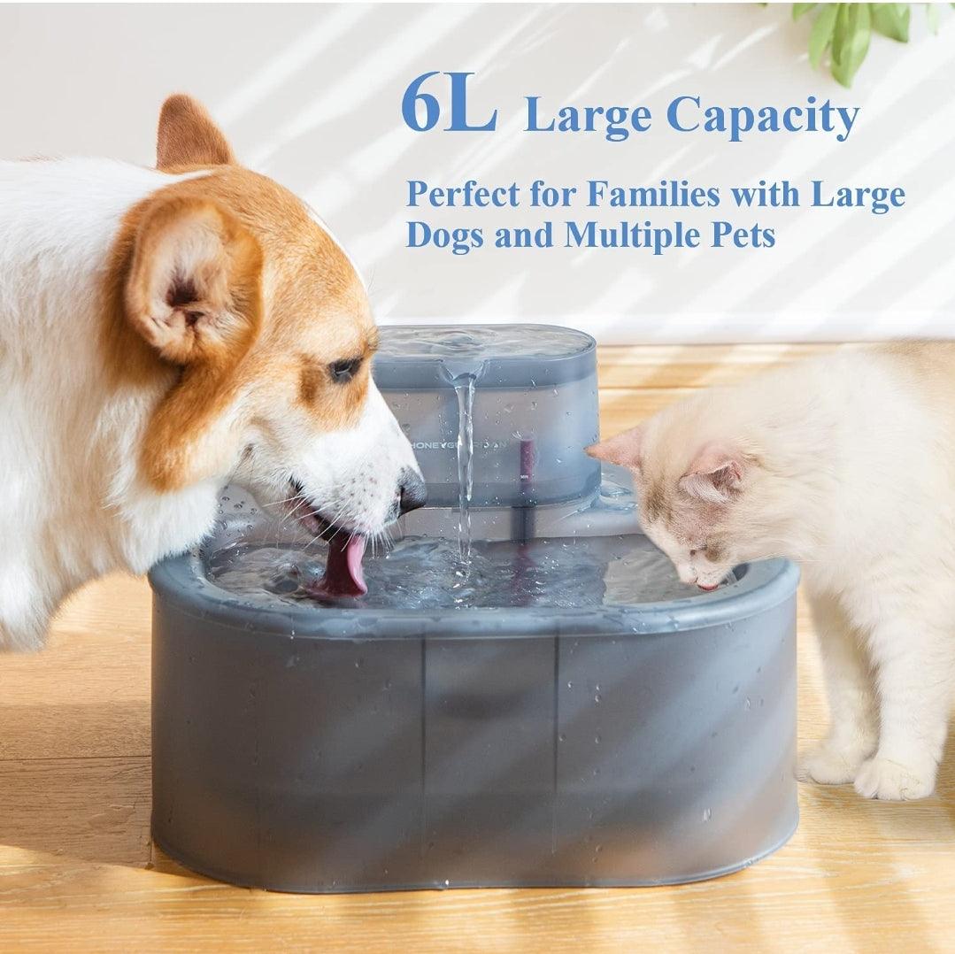 XL Cat & Dog Water Fountain 6L - North East Pet Shop North East Pet Shop