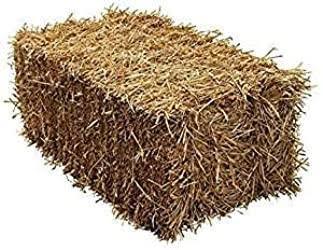 Barley Straw Bale - The North East Farm - North East Pet Shop North East Pet Shop