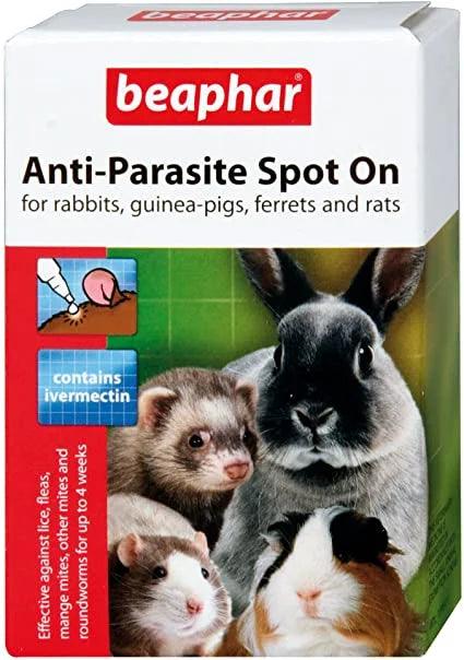Beaphar Anti-Parasite Spot On - Small Animals - North East Pet Shop Beaphar