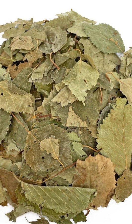 Birch Leaves 5kg - North East Pet Shop NG