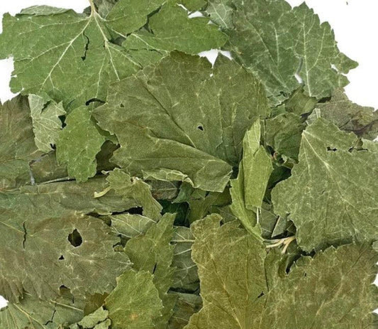 Blackcurrant Leaves 5kg - North East Pet Shop NG