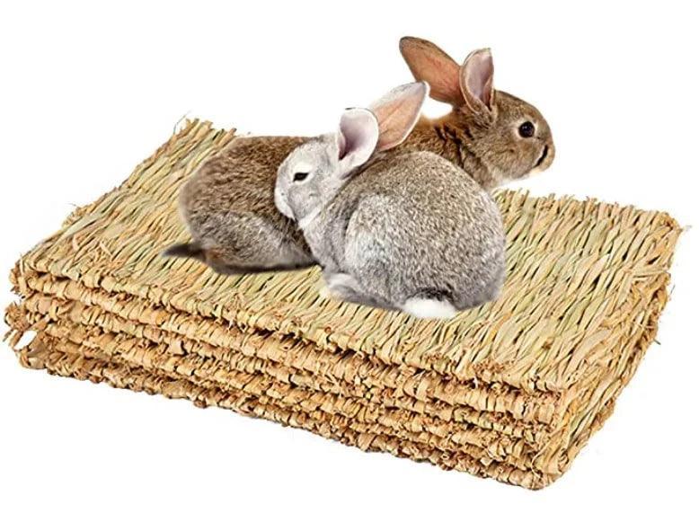 Boredom Grass Chill N Chew Mat - North East Pet Shop Rosewood
