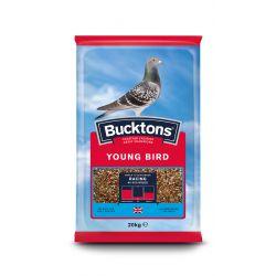 Bucktons Pigeon Young Bird - North East Pet Shop Bucktons