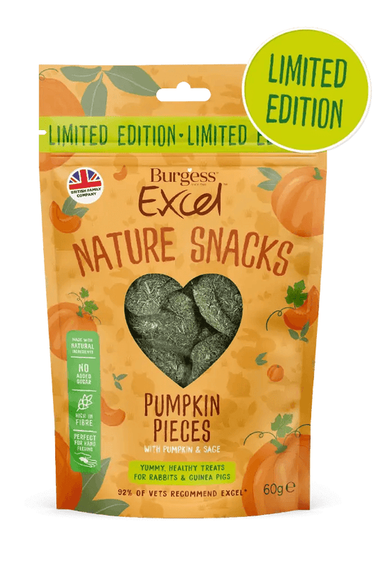 Burgess Excel Pumpkin Pieces with Pumpkin and Sage LIMITED EDITION - North East Pet Shop Burgess Excel