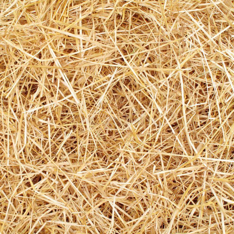 Compressed Barley Straw Bedding 12.5kg - North East Pet Shop Harpington