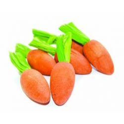 Critters Choice Carrot Nibblers - North East Pet Shop Critters Choice