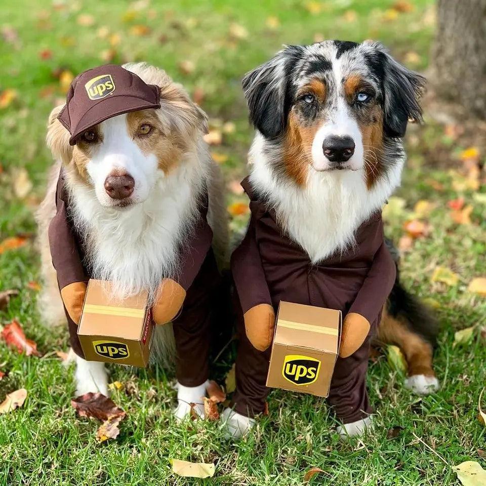 Dog & Puppy UPS Dress Up Costume - North East Pet Shop North East Pet Shop