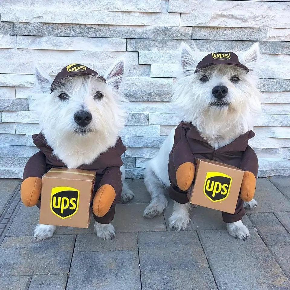 Dog & Puppy UPS Dress Up Costume - North East Pet Shop North East Pet Shop