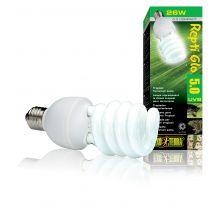 Exo Terra Reptile Glo 5.0 Compact Fluorescent Bulb 26w - North East Pet Shop Exo Terra