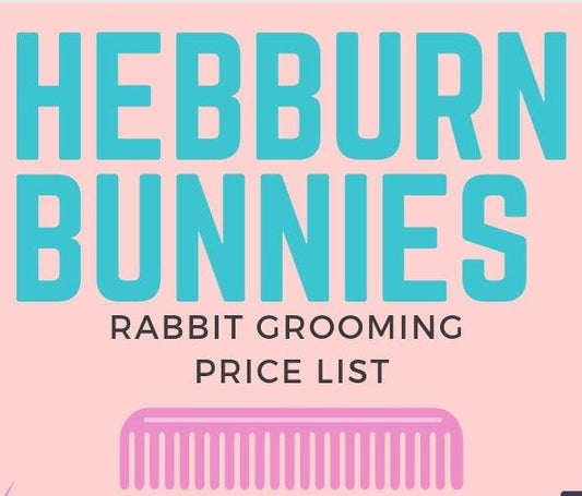 Hebburn Bunnies - Rabbit Grooming - North East Pet Shop North East Pet Shop