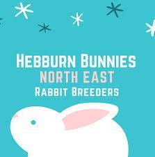 Hebburn Bunnies - Rabbit Reservation - North East Pet Shop North East Pet Shop